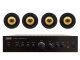 TAGA Harmony TA-250MIC + TCW-880R SM - Nagłośnienie sufitowe do 60m2