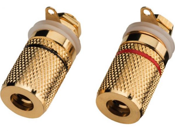 BP-250G - Para terminali głośnikowych