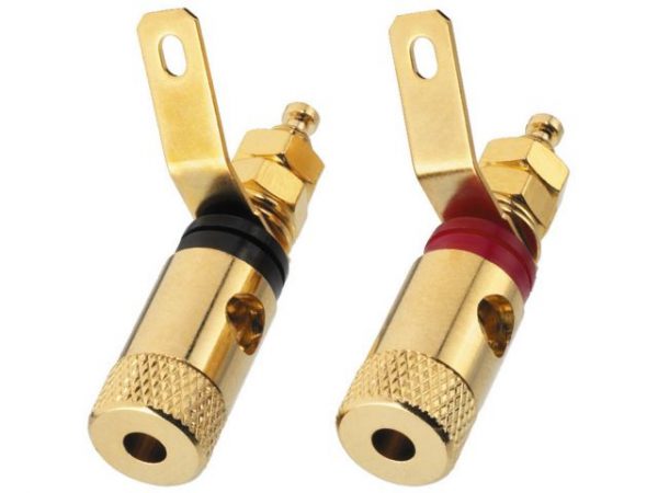 BP-260G - Para terminali głośnikowych