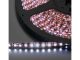 LEDS-5MPL/WS - Pasek diodowy