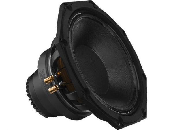 SP-310CX - Profesjonalny 2-drożny