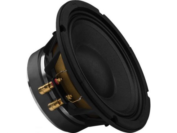 SPA-8PA - Głośnik nisko-średniotonowy PA