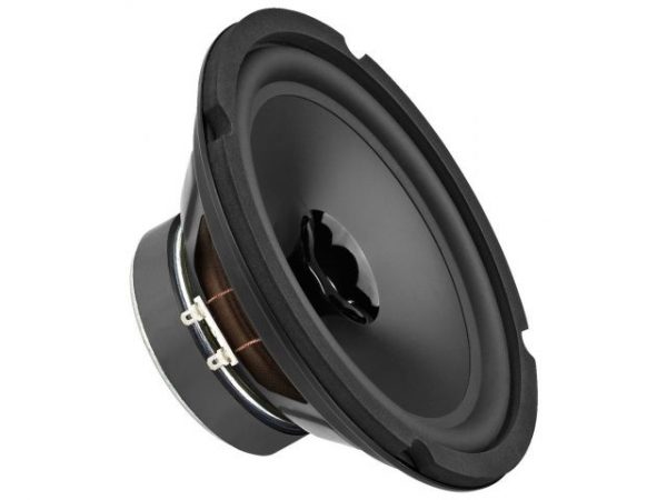 SPX-200WP - Głośnik pełnopasmowy HiFi