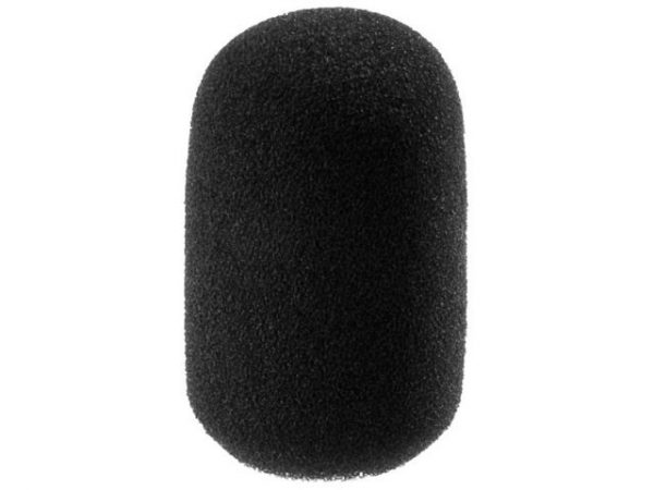 WS-100/SW - Wiatrochron