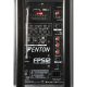 FENTON – Kolumna mobilna z mikrofonem 250W Fenton FPS12 20