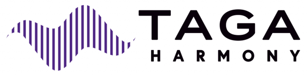 Taga Harmony – TWA-10B odtwarzacz sieciowy z Wi-Fi i Bluetooth