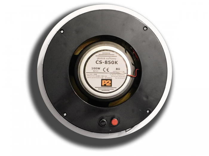 Dexon CS-850K – głośnik sufitowy dwudrożny