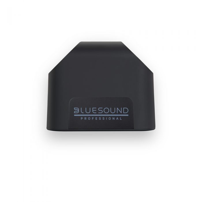 Bluesound BSP125 – aktywny głośnik sieciowy 13
