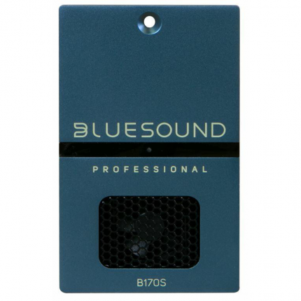 Bluesound B170S