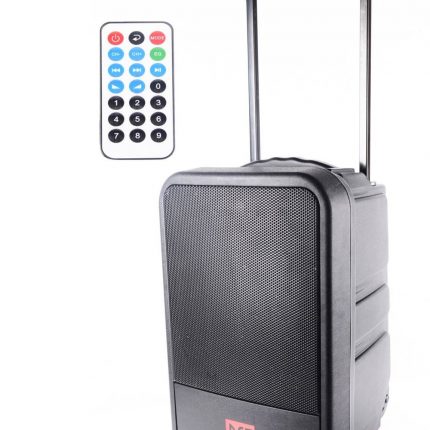 BST – Kolumna mobilna z mikrofonami wodoodporna 10″  BST  IPS10-250 153