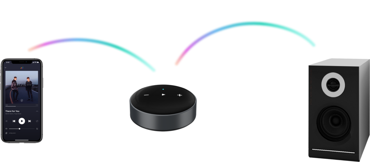 Wiim Mini – Streamer audio Multi-Room Bluetooth Wi-Fi 18