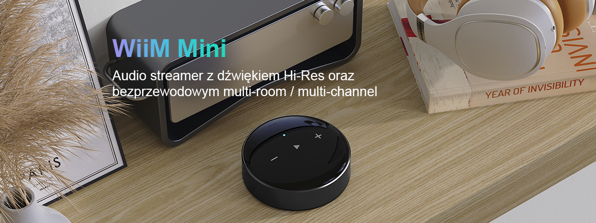 Wiim Mini – Streamer audio Multi-Room Bluetooth Wi-Fi 16