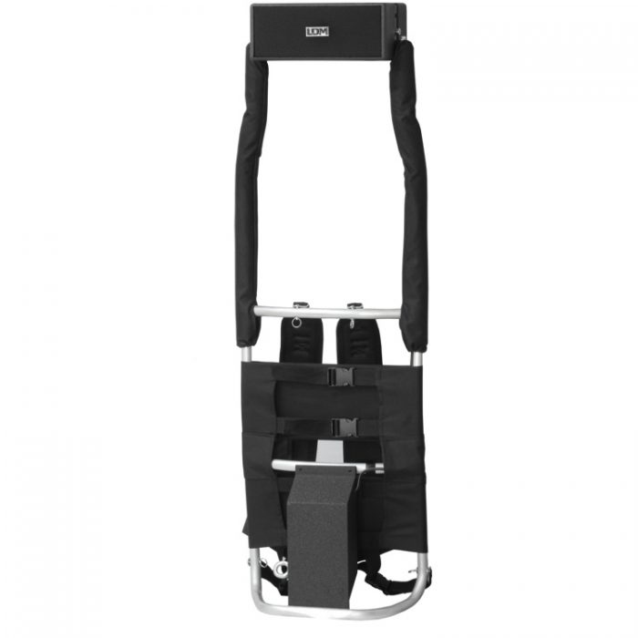 LDM Electronic - Walker P