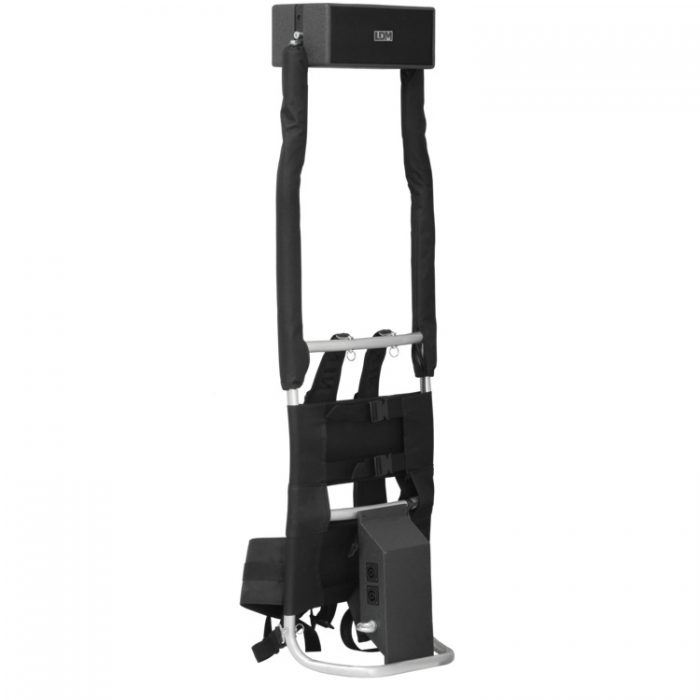 LDM Electronic - Walker P