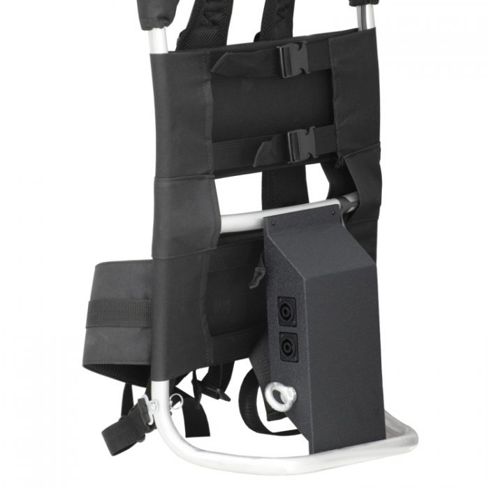 LDM Electronic - Walker P