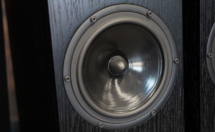 Pylon Audio Diamond 28 mkII – POZWROTOWE / OUTLET / Ubity narożnik - obrazek 4