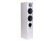 WILSON Raptor 7 - OUTLET Białe Para