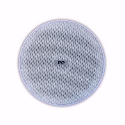 Głośnik sufitowy dwudrożny z transformatorem TS-610