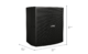 BOSE Forum FC112