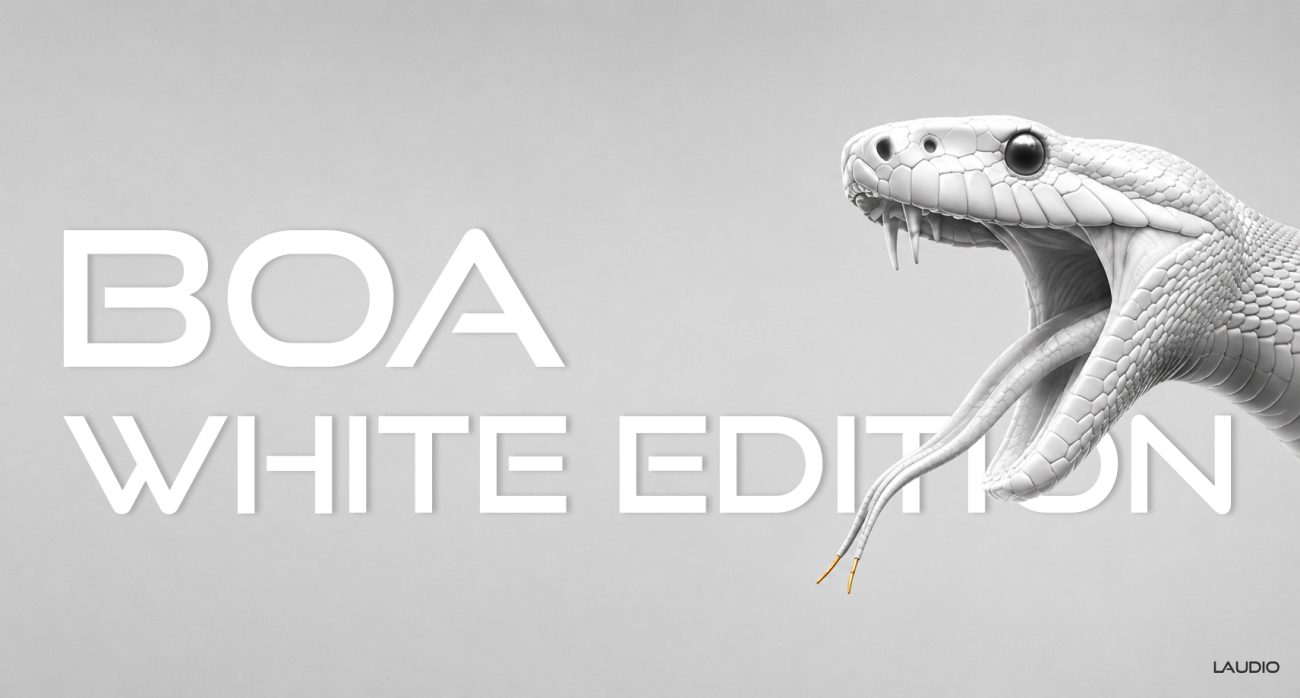 Laudio Boa White